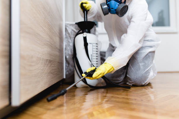 Best Rat Extermination Near Me  in Deale, MD