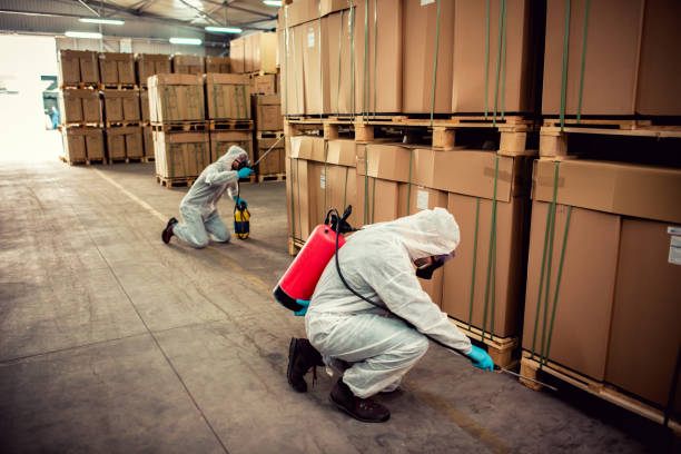 Best Affordable Pest Control Services  in Deale, MD