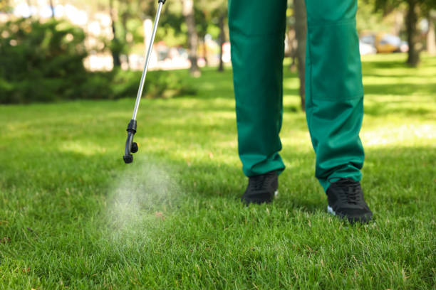 Best Bed Bug Extermination  in Deale, MD
