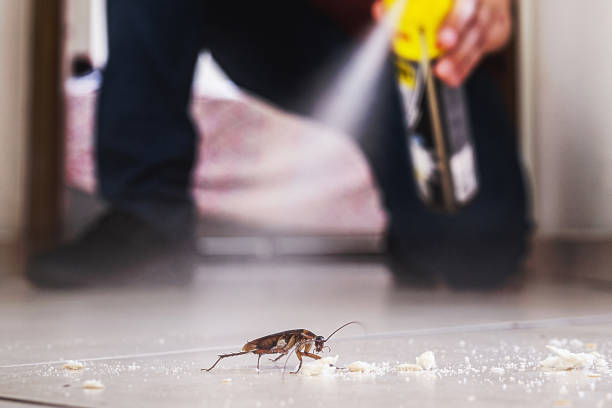 Professional Pest Control in Deale, MD